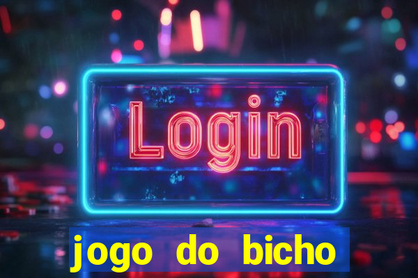 jogo do bicho crash bingo